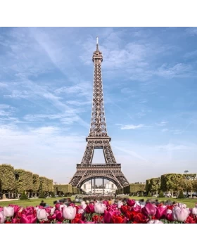 Ρόλερ σκίασης με Αξιοθέατα σειρά La Tour Eiffel E539