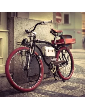 Ρόλερ σκίασης με Vintage Σχέδια σειρά Bike E443