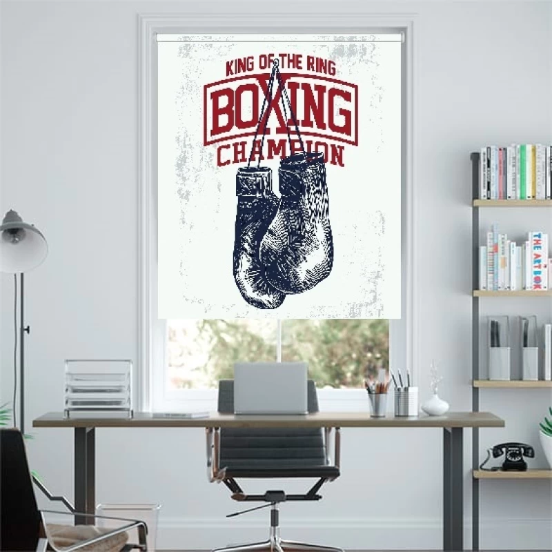 Ρόλερ σκίασης με Εφηβικά Σχέδια σειρά Boxing E377